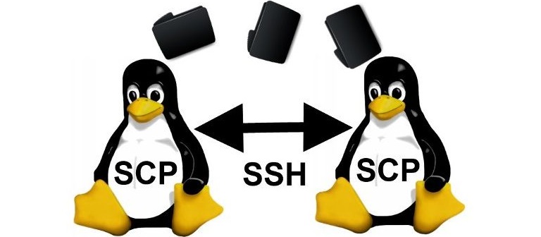 Копирование файлов Lunix (через SCP) Копирование файлов Lunix (через SCP)